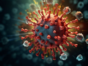 Coronavirus: Researchers develop new rapid and reliable detection method