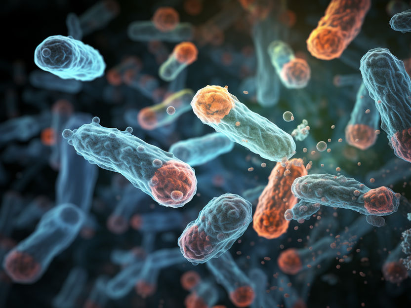 How harmless turns dangerous - Causes for bloodstream infections found in the genes of bacteria: This will enable better diagnostics and vaccinations in the future