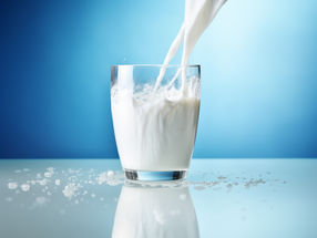 SPD und Grüne regen Mehrwertsteuersenkung für Milchersatzprodukte an