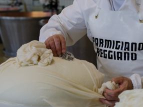 Ein Mikrochip für Parmigiano Reggiano Käse