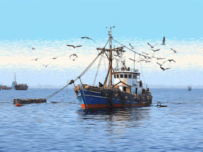 EU-Kommission will Fang von Lachs und Hering in Ostsee beschränken