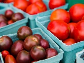Studie zeigt, dass Programme zur Verschreibung von Obst und Gemüse positive Auswirkungen auf die Gesundheit der Teilnehmer haben