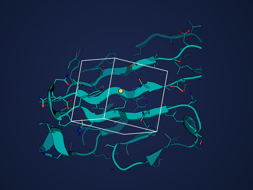 Innovative computational approach helps design proteins for cancer treatment - Drastic reduction of computational cost: Precise and efficient design of functional proteins