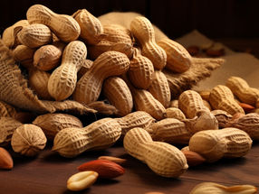 Nestlé vend Palforzia, un produit contre l'allergie aux arachides