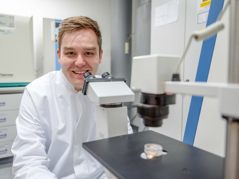 Neuer Wirkstoff lässt das Immunsystem auf Metastasen los - Neuer Nanokomplex macht nicht nur einen Tumor unschädlich, sondern trainiert das Immunsystem darauf, Metastasen zu finden und zu eliminieren