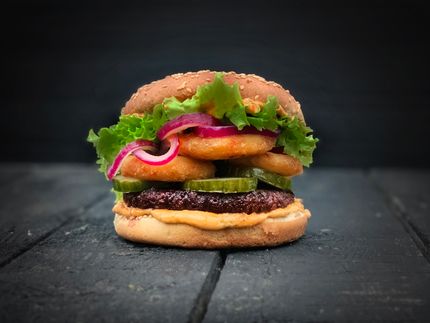 Nuevas orientaciones en el uso del cáñamo comercial: Signature Products coopera con empresas punteras en un proyecto de investigación pionero