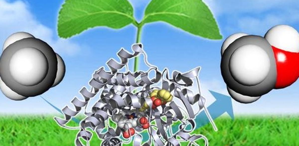 Reducir la huella de carbono del metano convirtiéndolo en metanol con una nueva enzima