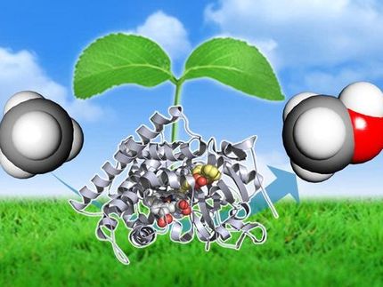 Reducing the carbon footprint of methane by converting it into methanol with a new enzyme
