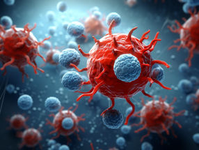 A protein on cancer cells supports immune response against tumors