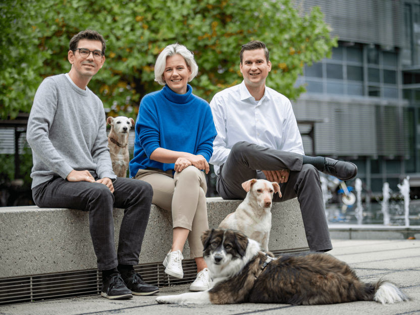 Erfolgreicher Exit: adivo wird Teil von Zoetis - Das Team und die Plattform von adivo stärken Zoetis und ihre Fähigkeiten in der Entwicklung therapeutischer Antikörper-Therapien für Haustiere