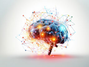 Señales cerebrales para un buen rendimiento de la memoria