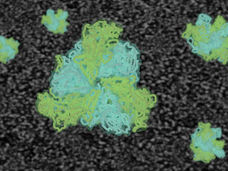 Nahaufnahmen biologischer Nanomaschinen