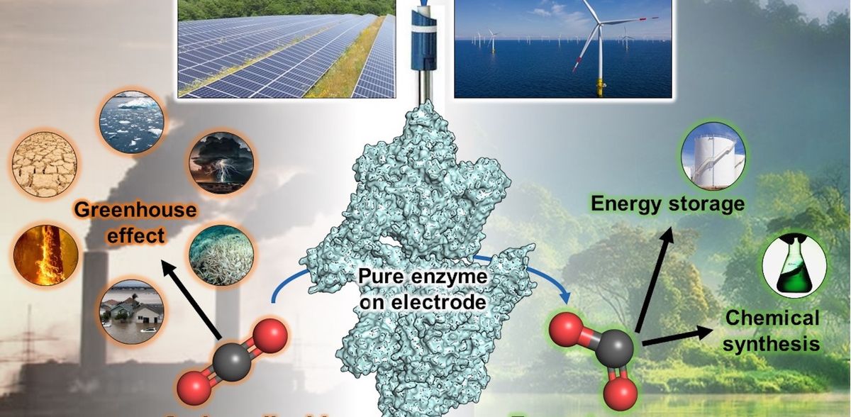 Capturar CO2 con electricidad: una enzima microbiana inspira la electroquímica