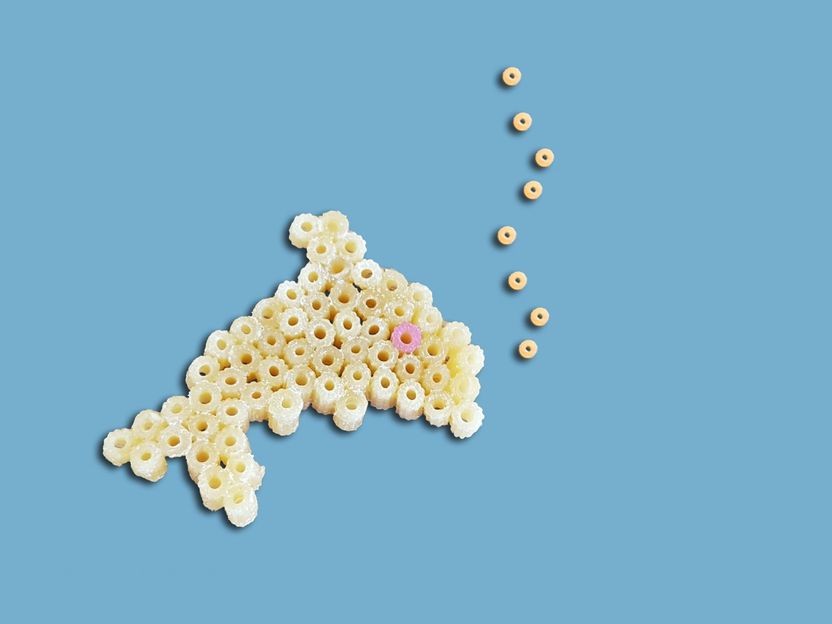 Nachhaltige Idee zu verschenken – Bist du der oder die nächste Innovator*in?