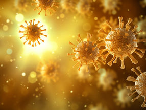 Katalin Karikó y Drew Weissman reciben el Nobel por sus descubrimientos en la lucha contra el coronavirus