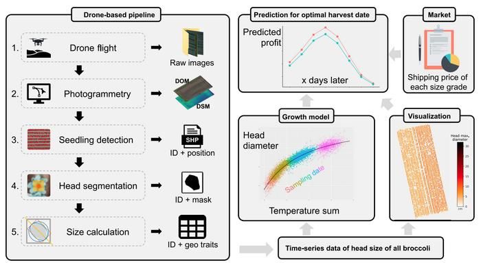 La Tabla Periódica inspira una guía visual de Inteligencia Artificial