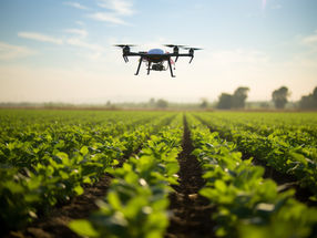 Des drones d'IA pour aider les agriculteurs à optimiser le rendement des légumes