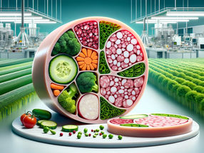 InFamily Foods erreicht nächsten Meilenstein in der Proteinversorgung der Zukunft