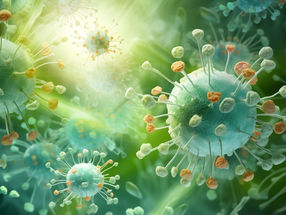 Le dernier rempart - Les cellules souches végétales luttent contre les virus