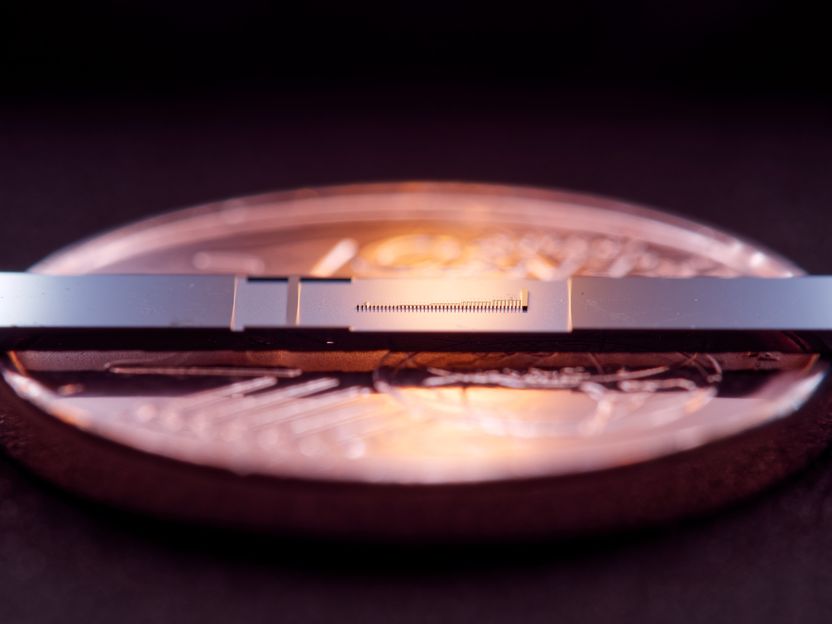 Meilenstein: Miniatur-Teilchenbeschleuniger funktioniert - Einem Forschungsteam gelingt es erstmals, Elektronen in einer Nanometer kleinen Struktur zu beschleunigen