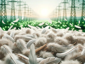 Generating clean electricity with chicken feathers