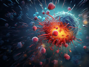BioCopy und YUMAB kooperieren im Kampf gegen Krebs
