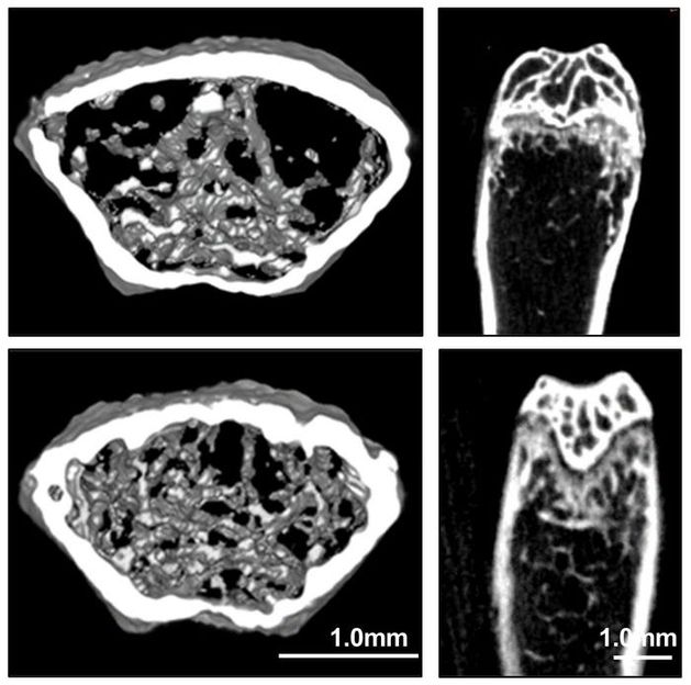 Adapted from ACS Central Science, 2023, DOI: 10.1021/acscentsci.3c00794