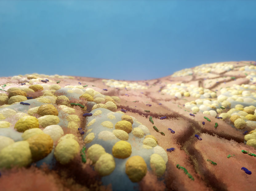Unique nasal microbiome