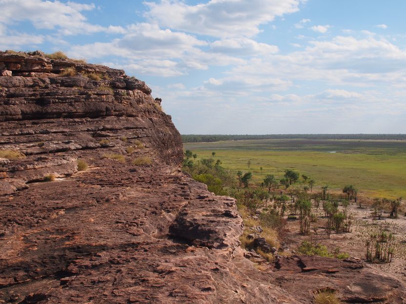 Genetic methods enable use of fossil lipids as biomarkers for oxygen-producing primordial bacteria - New study in Nature Ecology & Evolution provides important basis for deciphering the evolutionary history of life on Earth