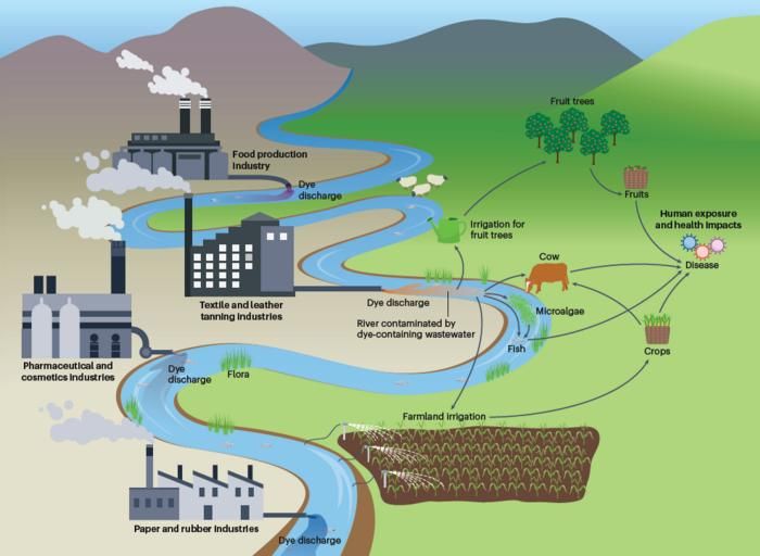 Colorants textiles: croissance du marché, pression environnementale et prix  à la hausse