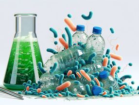 Plastic-eating bacteria turn waste into useful starting materials for other products
