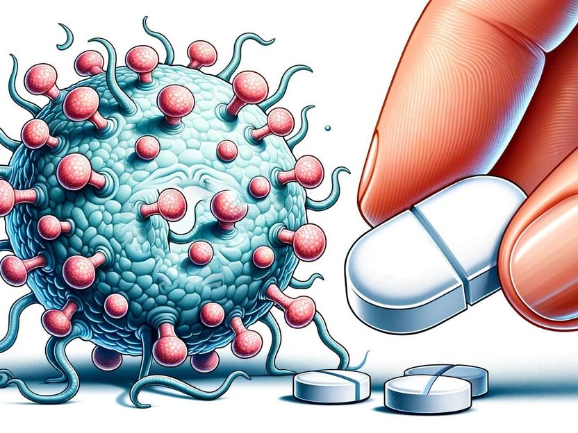 Cancer de l'intestin : l'aspirine active des gènes protecteurs - Des chercheurs ont identifié une voie de signalisation par laquelle l'aspirine peut inhiber le cancer colorectal.