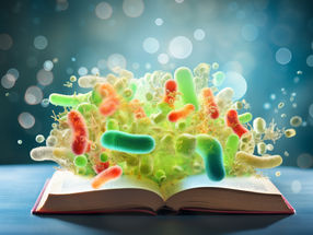 Le savoir des manuels scolaires à l'envers : découverte d'un micro-organisme 3-en-1