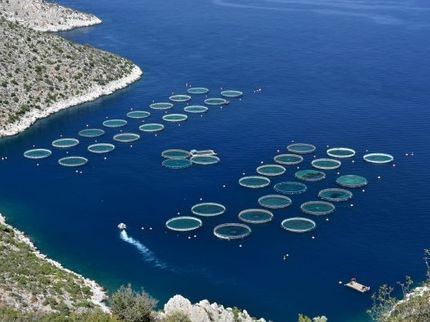 L'aquaculture européenne stagne malgré un soutien important