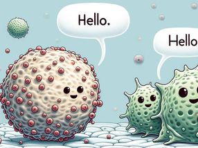 Cómo se comunican las células madre y las células inmunitarias