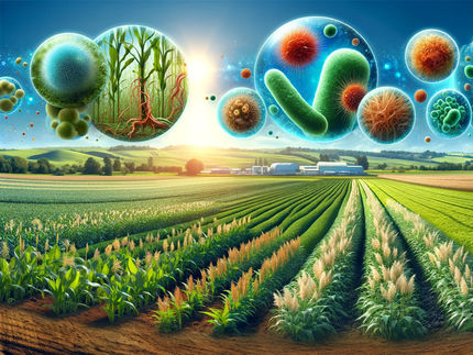 Microbes could help reduce the need for chemical fertilizers