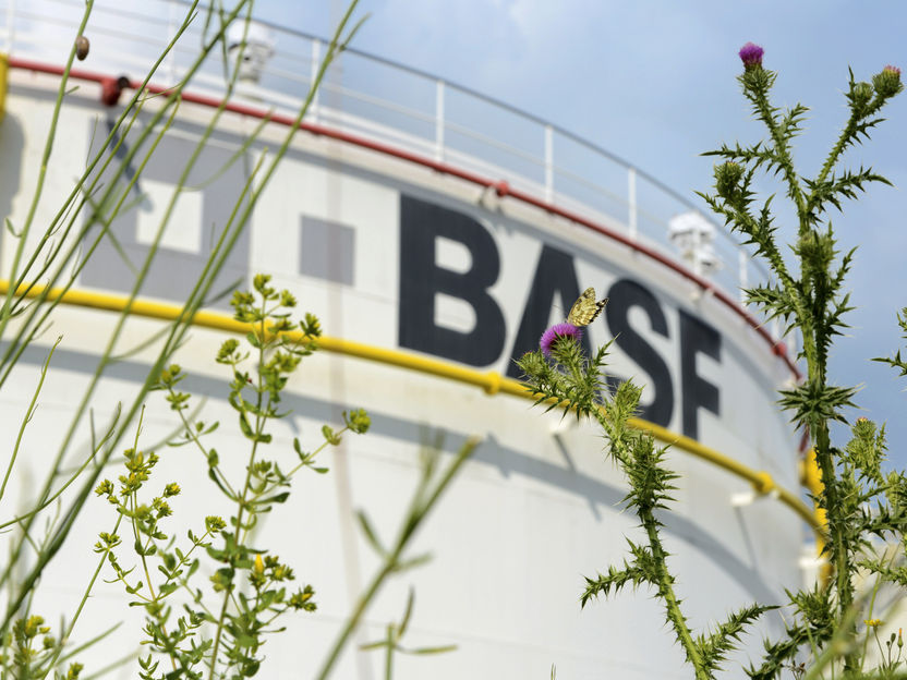BASF-Forschungsteam für Prozesskatalysatoren erhält Edison Patent Award 2023 für neuartiges Adsorptionsmittel