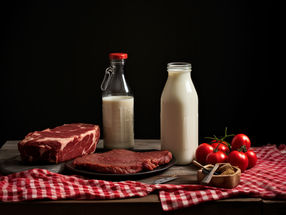 Un nutriment présent dans le bœuf et les produits laitiers améliore la réponse immunitaire au cancer