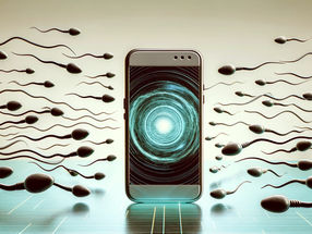 L'utilisation du téléphone portable peut affecter la qualité du sperme