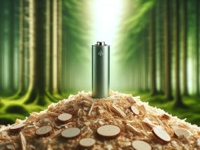 Producing resource-saving batteries from wood waste