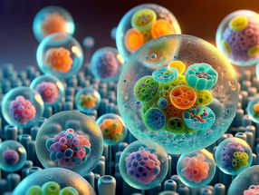 Gran avance en la síntesis de células artificiales