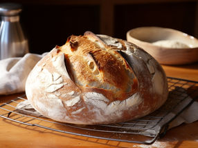 Estudio de los microbiomas de los fermentos de masa madre para mejorar la calidad y seguridad del pan