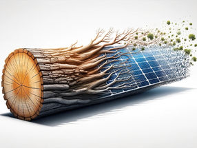 Wood materials make for reliable organic solar cells