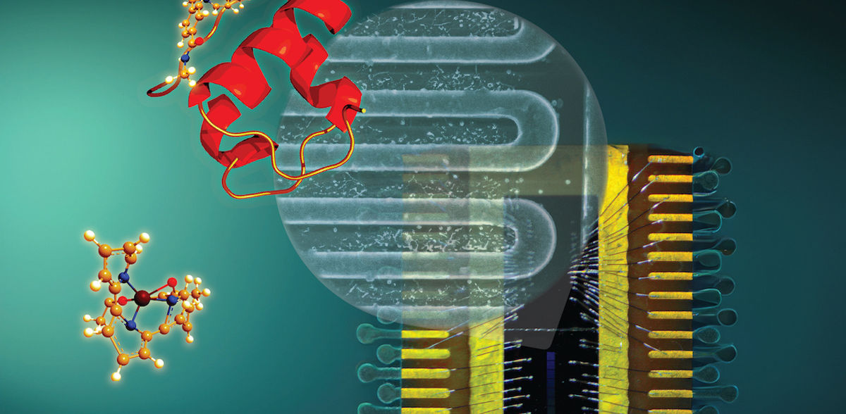 Superconducting Nanowires Detect Single Protein Ions