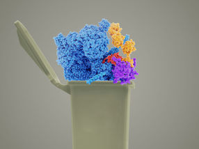 Neue Möglichkeit krankmachende Proteine in den Abbau zu zwingen