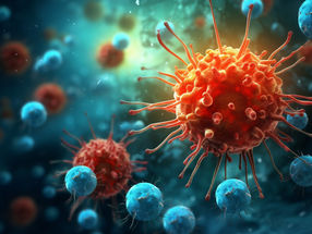 How Immune Cells Recognize their Enemies