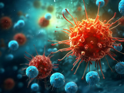 Wie Immunzellen ihre Gegner erkennen