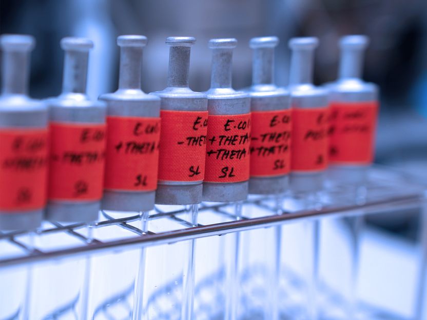 Erster Schritt auf dem Weg zur synthetischen CO2-Fixierung in lebenden Zellen - Drei Module, die einen in der Natur neuartigen CO2-Fixierungszyklus bilden, funktionieren auch in E.coli