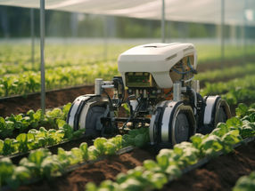 Warwick Agri-Tech ara el futuro de la agricultura y la silvicultura con la robótica