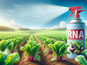 Targeted pest control with RNA spray